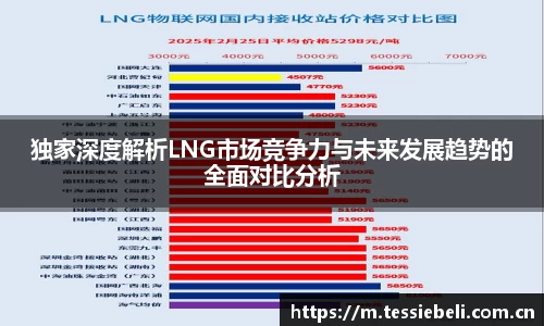 独家深度解析LNG市场竞争力与未来发展趋势的全面对比分析
