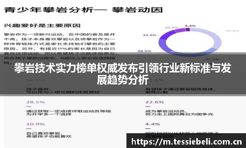 攀岩技术实力榜单权威发布引领行业新标准与发展趋势分析