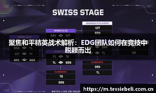 聚焦和平精英战术解析：EDG团队如何在竞技中脱颖而出