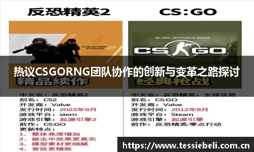 热议CSGORNG团队协作的创新与变革之路探讨