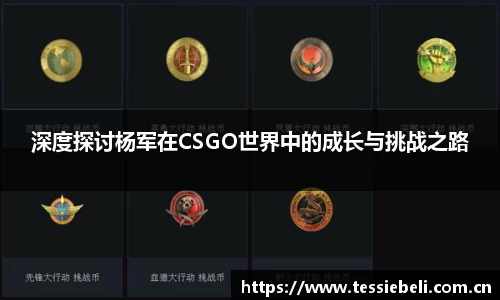 Ray竞技官网