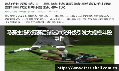 马赛主场欧冠赛后球迷冲突升级引发大规模斗殴事件