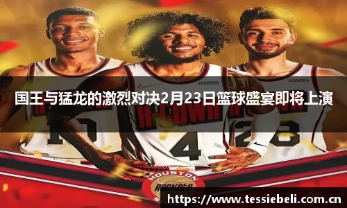 国王与猛龙的激烈对决2月23日篮球盛宴即将上演